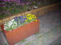 20090429102340