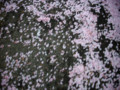 20090430104134