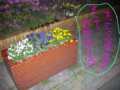 20090501163424