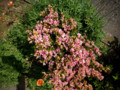 20090506000345