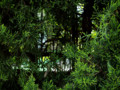 20090507112947