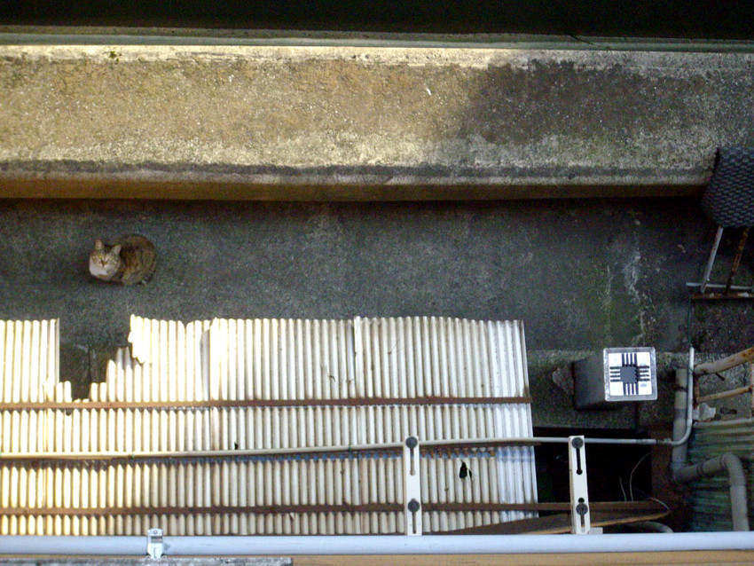 f:id:blepharisma:20090604001129j:image