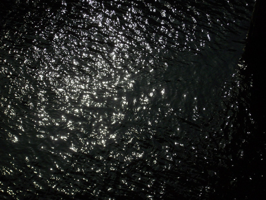 f:id:blepharisma:20090609001216j:image