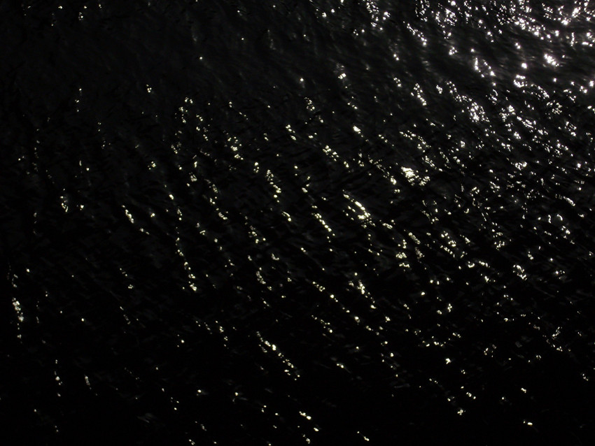 f:id:blepharisma:20090609001226j:image