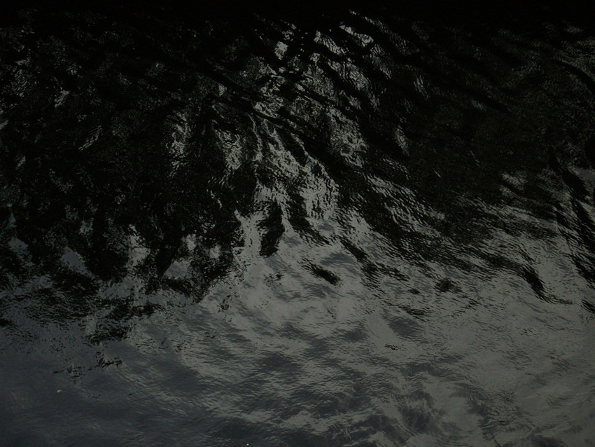 f:id:blepharisma:20090609001458j:image