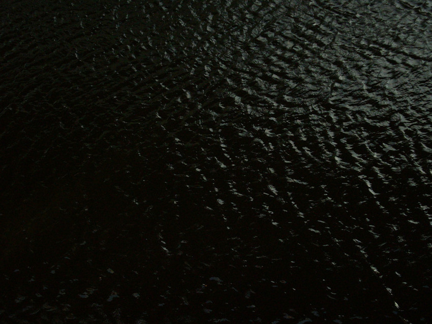 f:id:blepharisma:20090609001505j:image
