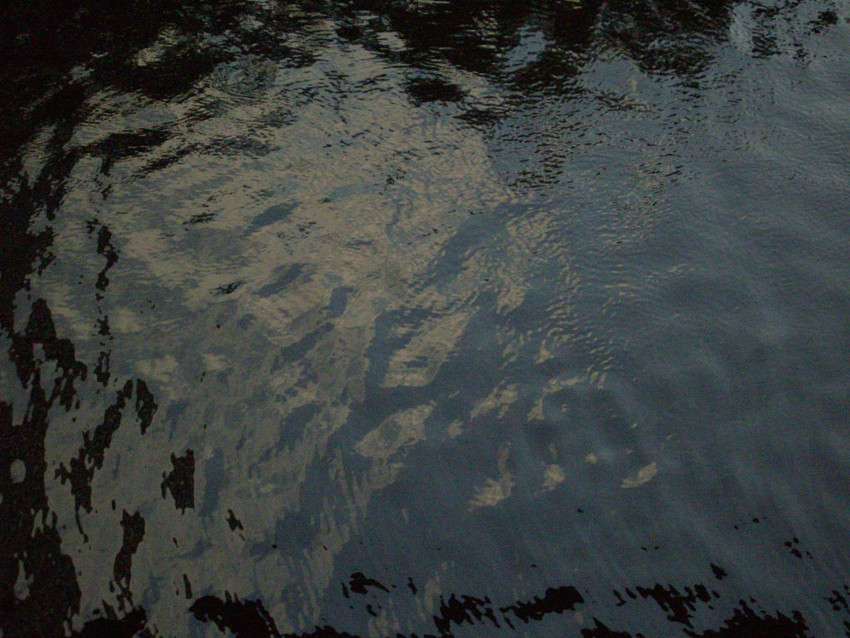 f:id:blepharisma:20090609001916j:image