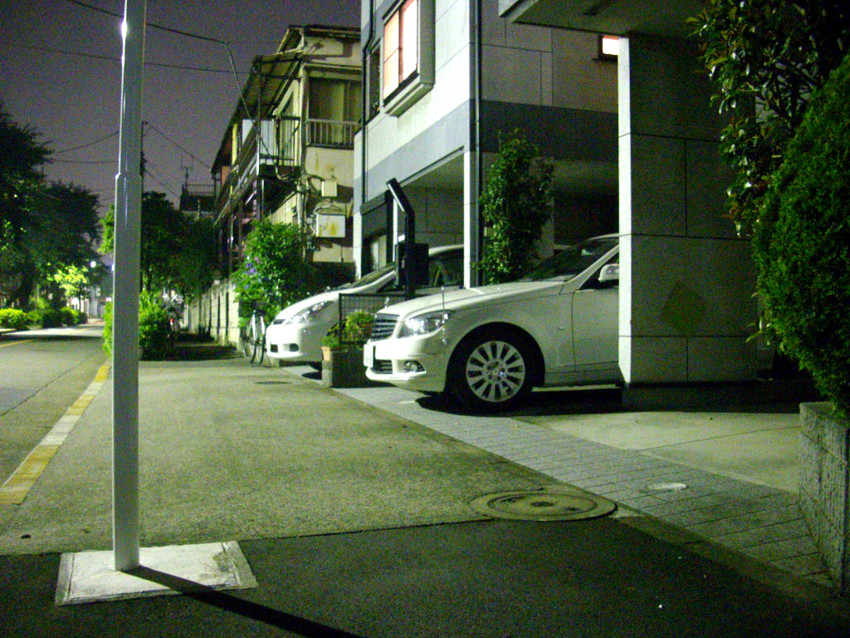 f:id:blepharisma:20090620002355j:image