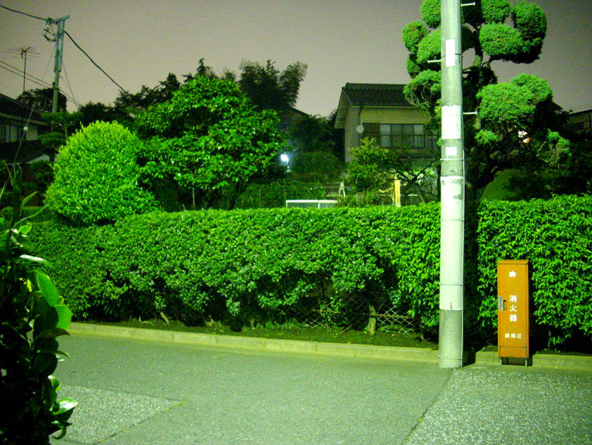 f:id:blepharisma:20090620002359j:image