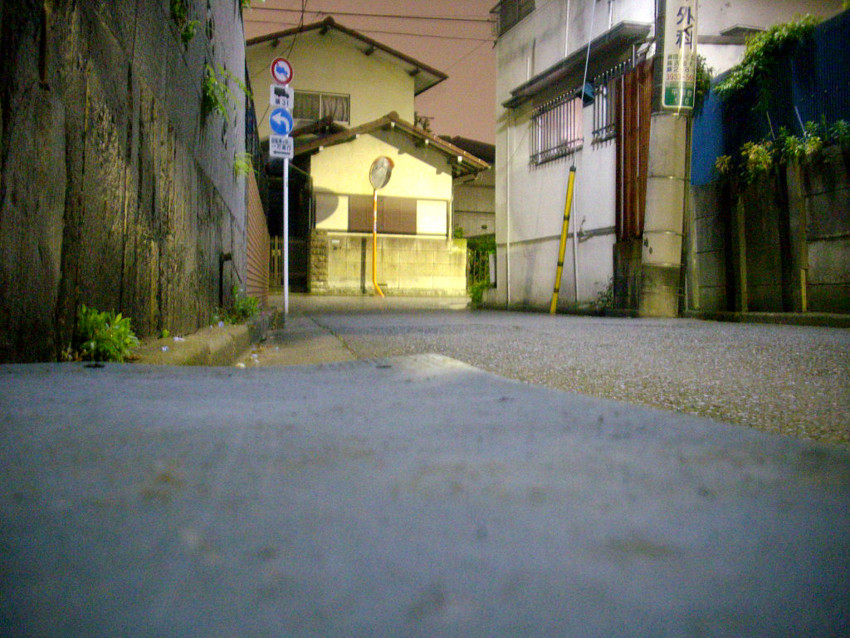 f:id:blepharisma:20090620002632j:image