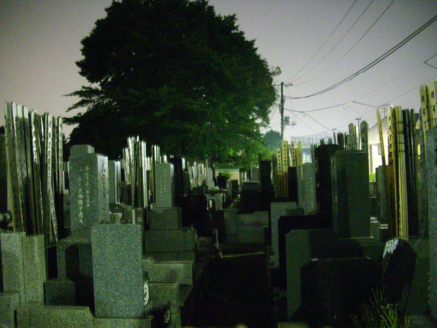 f:id:blepharisma:20090620002636j:image