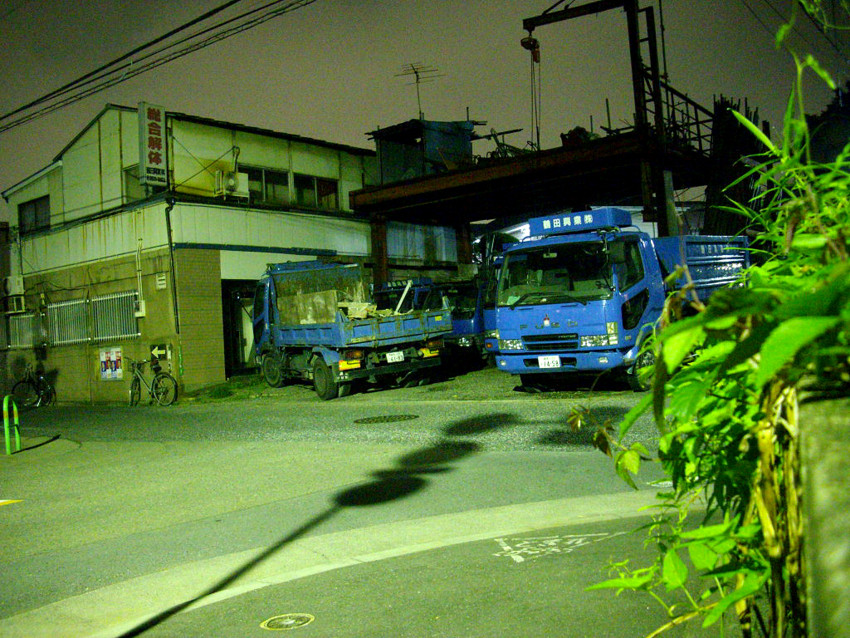 f:id:blepharisma:20090620002642j:image