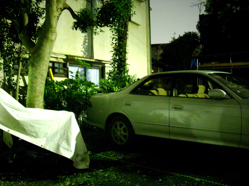 f:id:blepharisma:20090620002645j:image