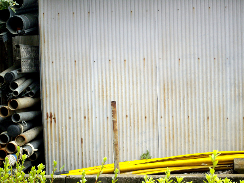 f:id:blepharisma:20090620234305j:image