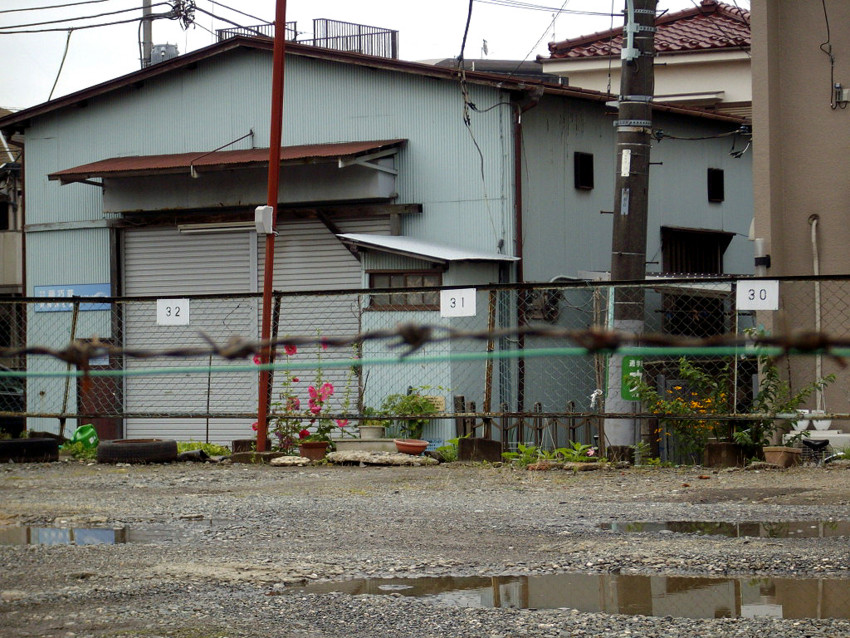 f:id:blepharisma:20090620234321j:image