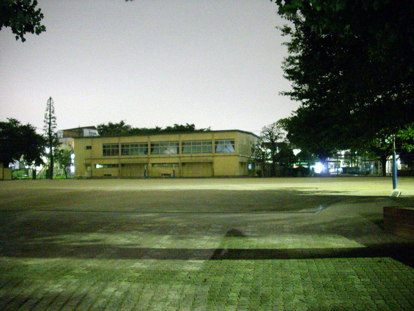 f:id:blepharisma:20090622003017j:image