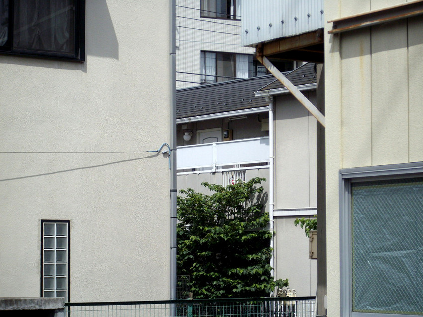 f:id:blepharisma:20090624001245j:image