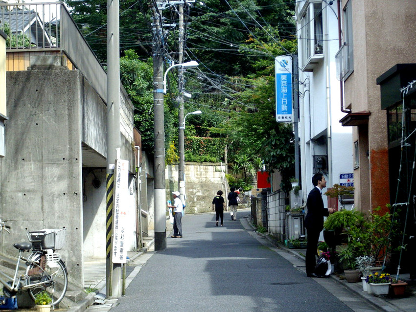 f:id:blepharisma:20090624001506j:image