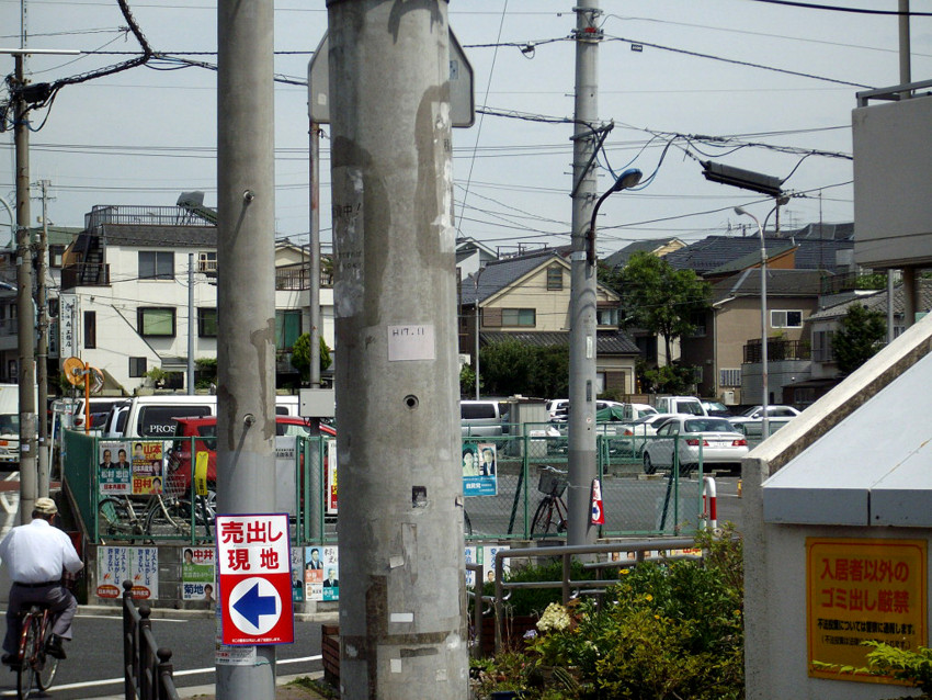 f:id:blepharisma:20090624001509j:image