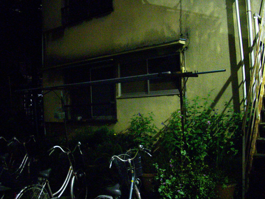 f:id:blepharisma:20090713005813j:image
