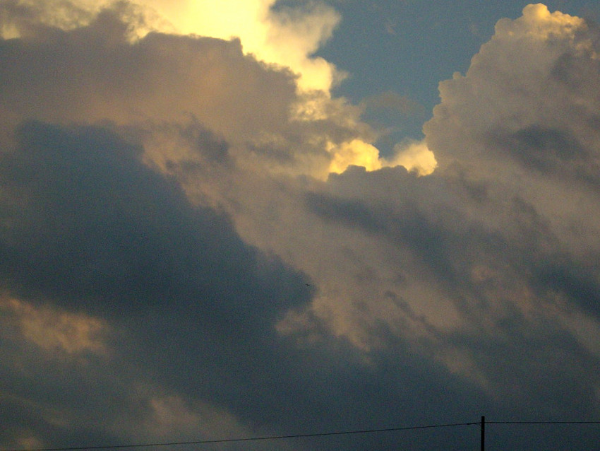 f:id:blepharisma:20090730124101j:image