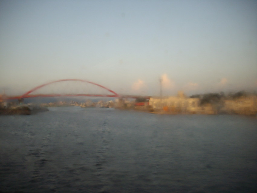 f:id:blepharisma:20090805165936j:image