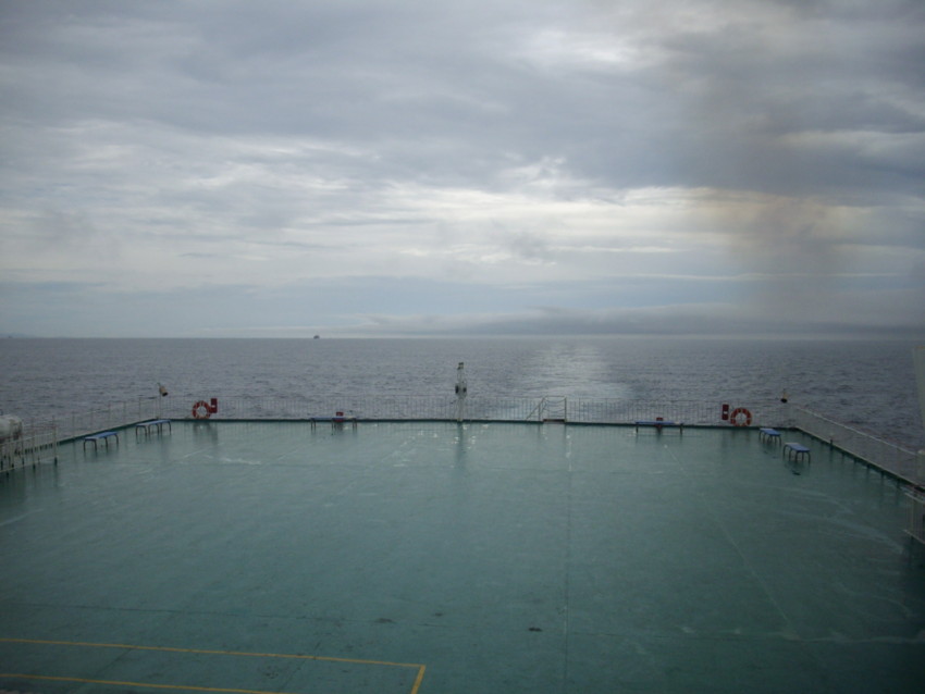 f:id:blepharisma:20090805165944j:image
