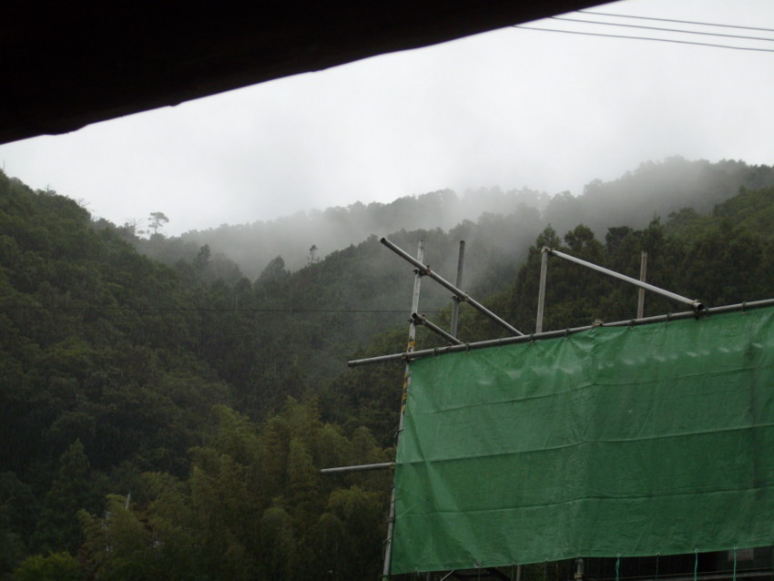 f:id:blepharisma:20090805173014j:image