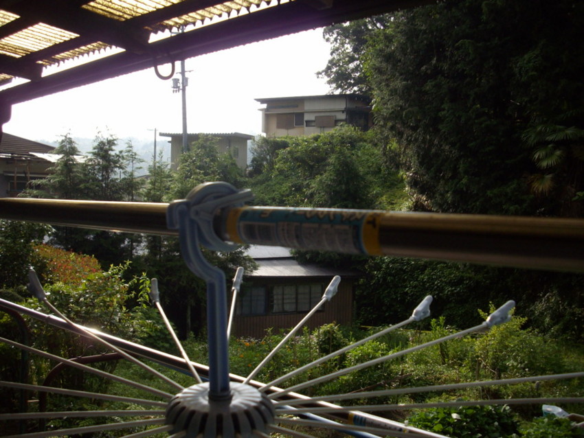 f:id:blepharisma:20090809130447j:image