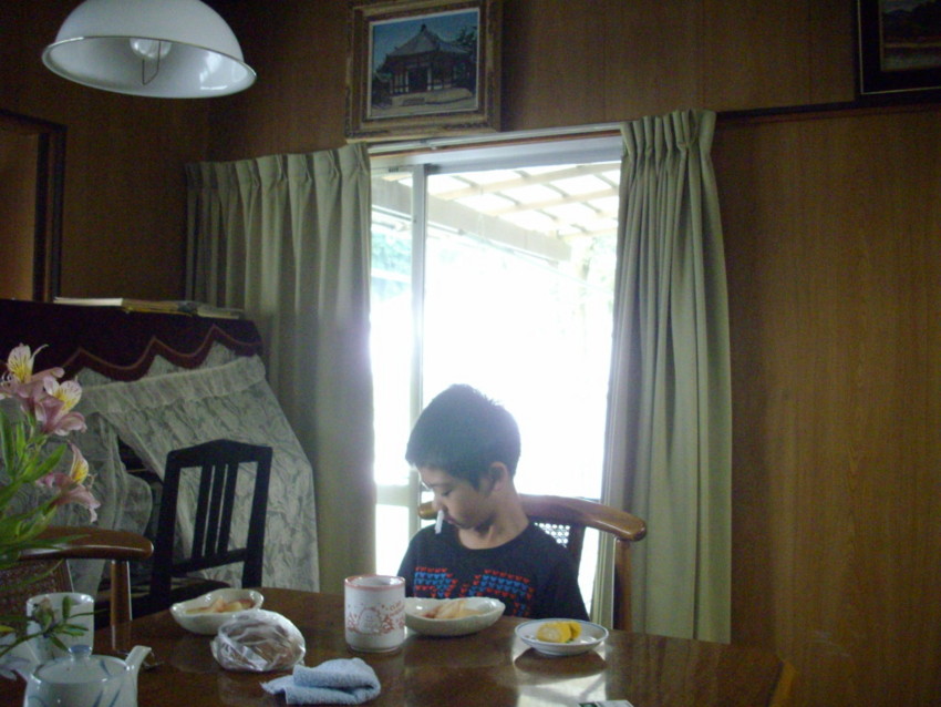 f:id:blepharisma:20090809130507j:image