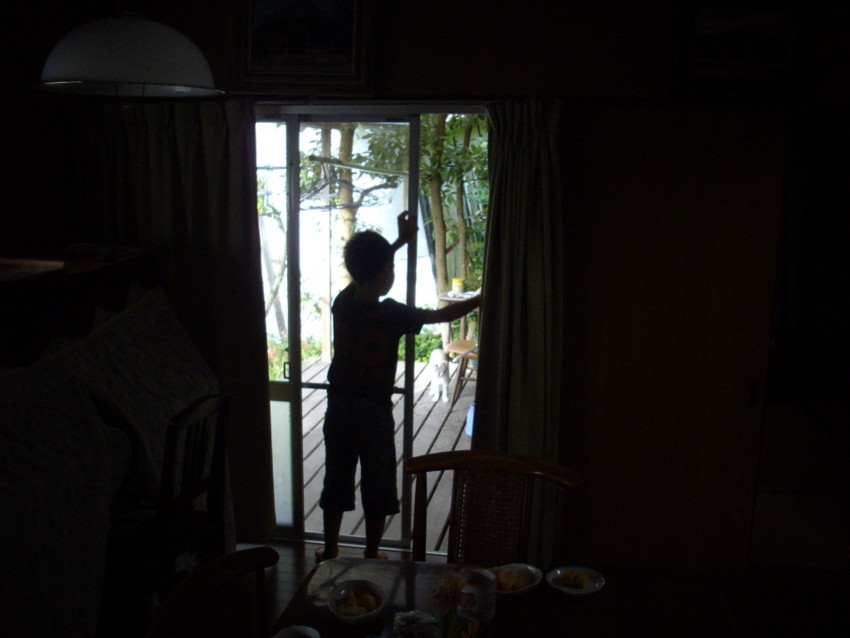 f:id:blepharisma:20090809130514j:image