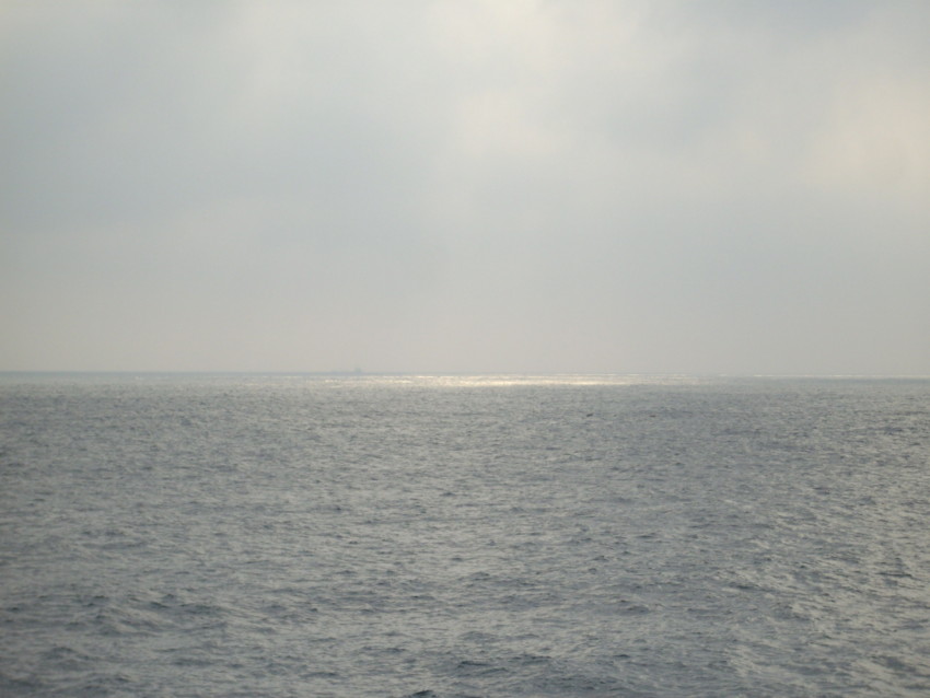 f:id:blepharisma:20090813115526j:image