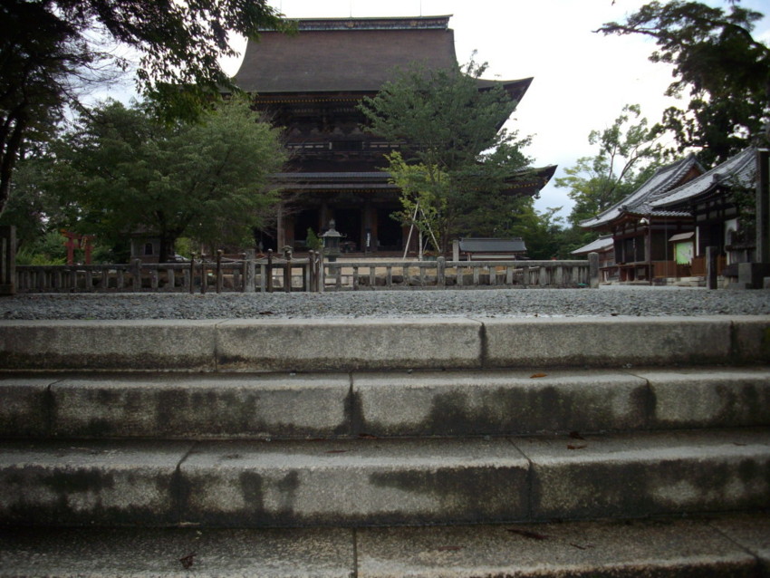 f:id:blepharisma:20090813115558j:image