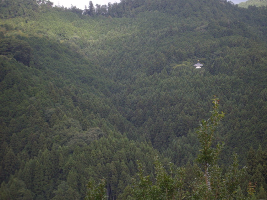 f:id:blepharisma:20090813115607j:image