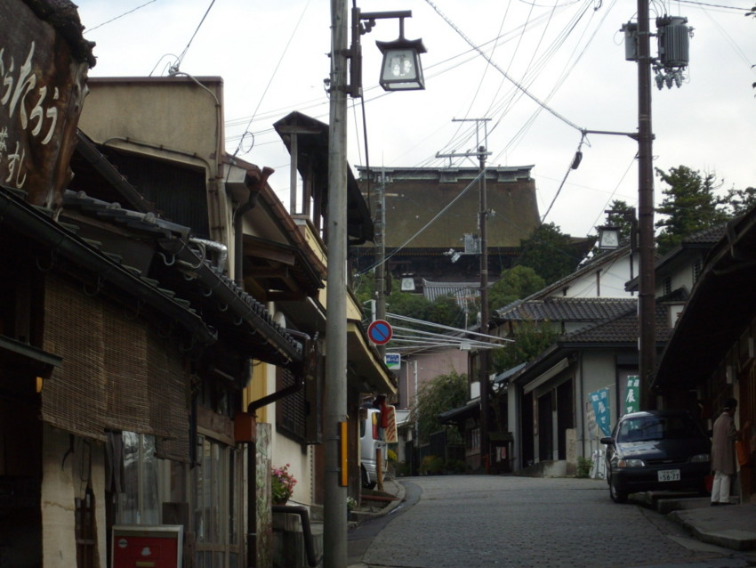 f:id:blepharisma:20090813115616j:image
