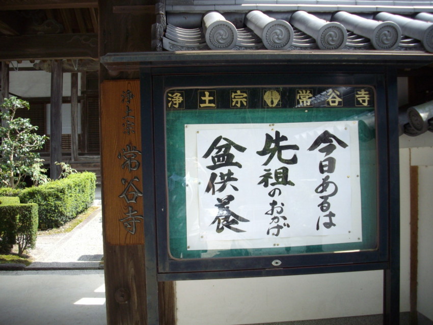 f:id:blepharisma:20090813115618j:image