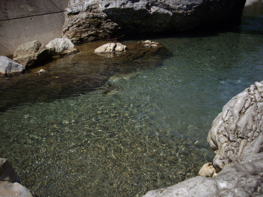 f:id:blepharisma:20090819164915j:image