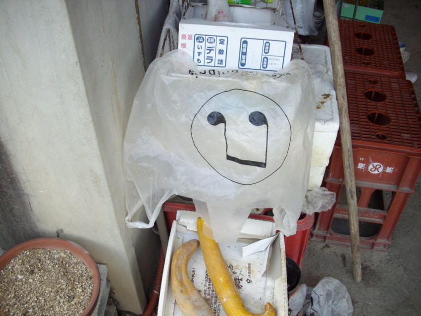 f:id:blepharisma:20090828173047j:image