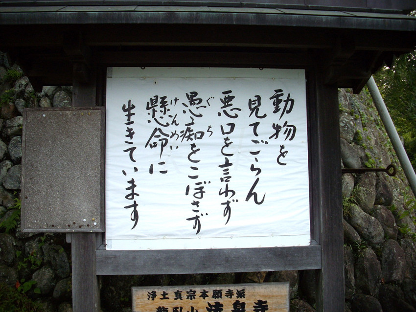 f:id:blepharisma:20091101004620j:image