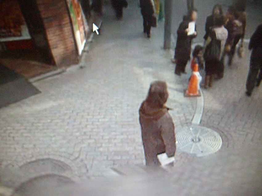 f:id:blepharisma:20091211225003j:image