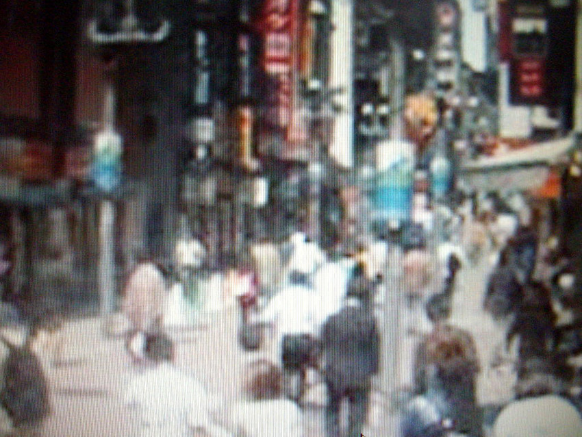 f:id:blepharisma:20091211225110j:image