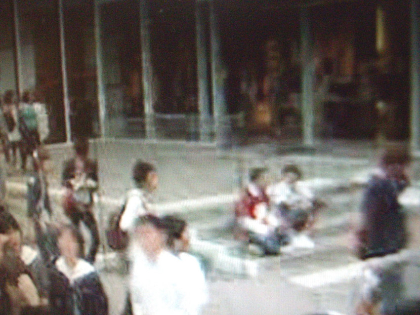 f:id:blepharisma:20091211230148j:image