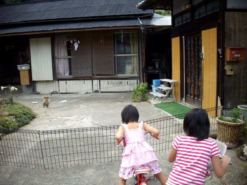 f:id:blepharisma:20091215005523j:image