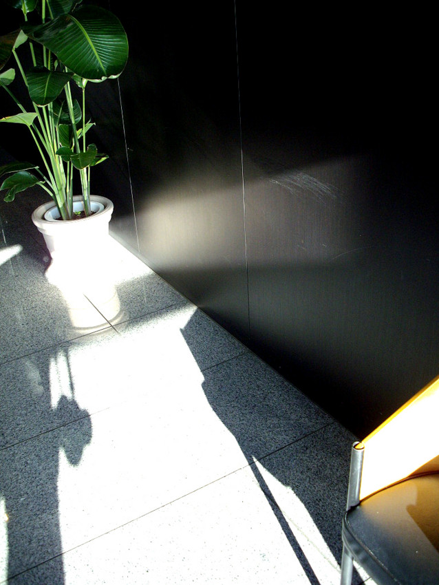 f:id:blepharisma:20091218215242j:image