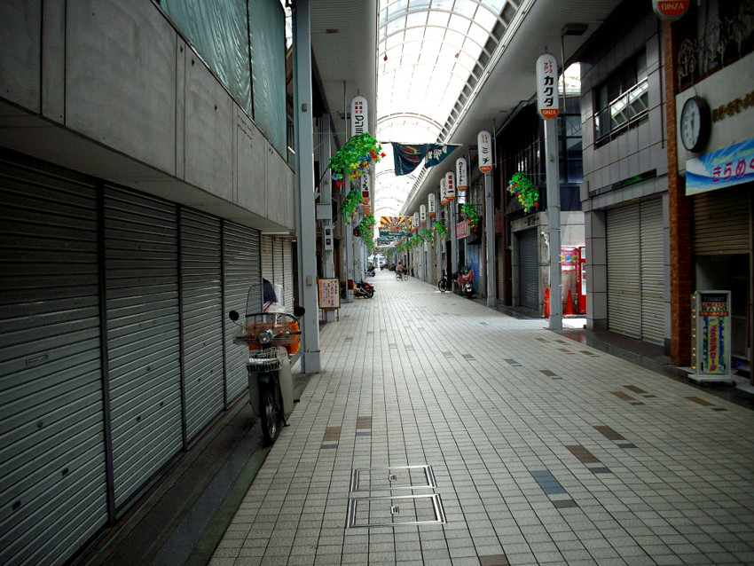 f:id:blepharisma:20091229001307j:image