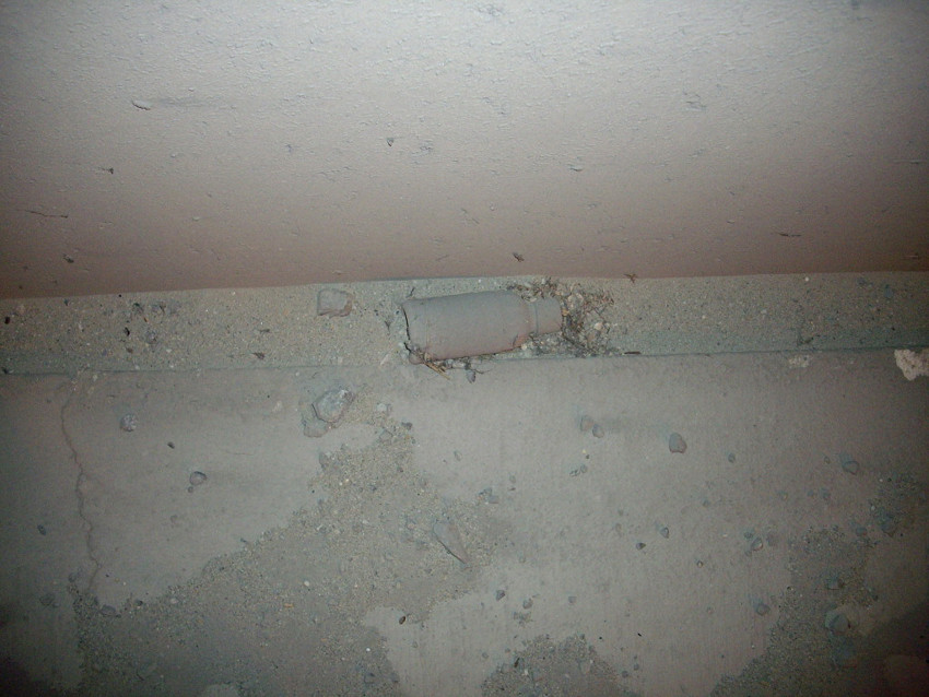 f:id:blepharisma:20100301233241j:image