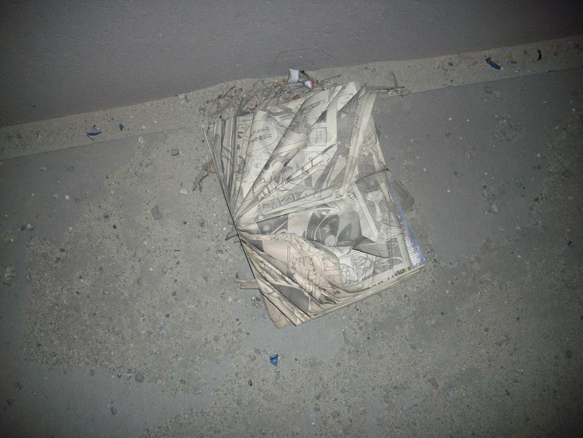 f:id:blepharisma:20100301233244j:image
