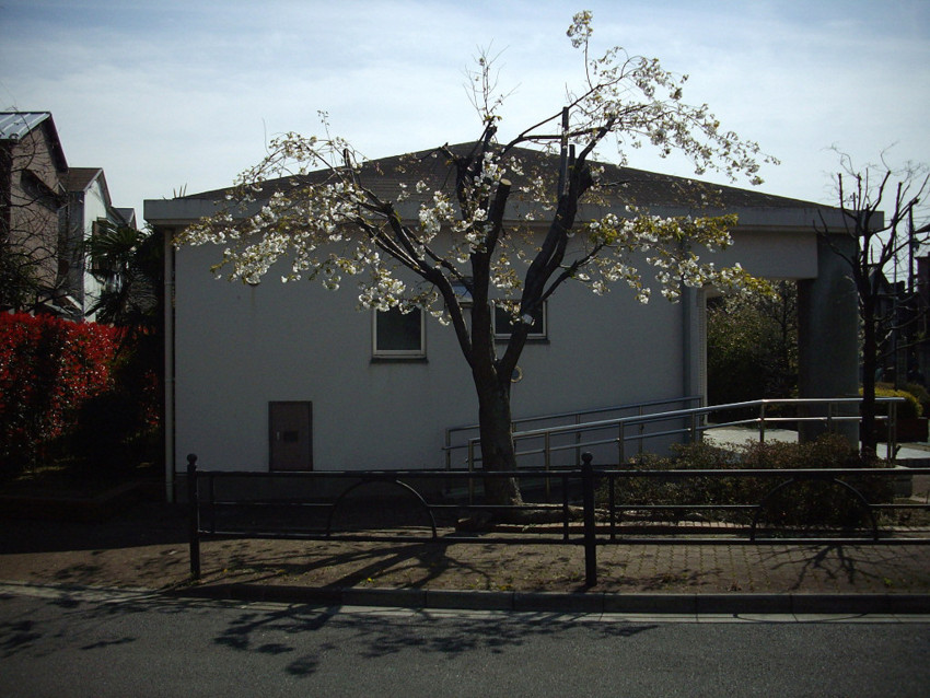 f:id:blepharisma:20100306000107j:image