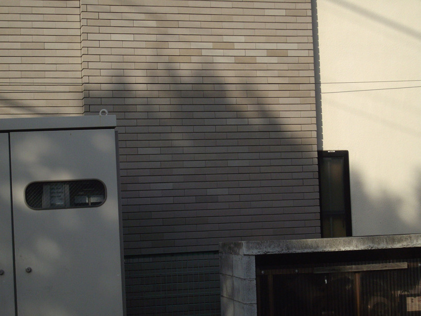 f:id:blepharisma:20100307234913j:image