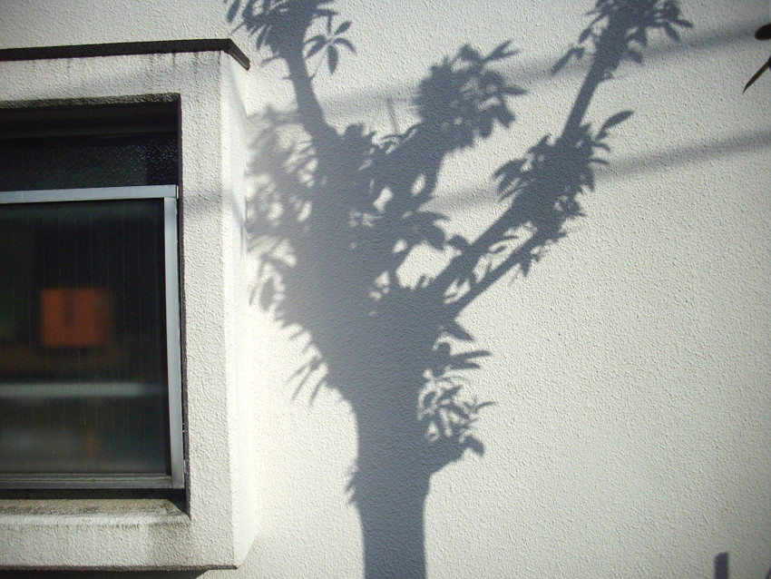 f:id:blepharisma:20100307234929j:image